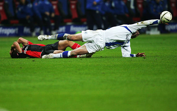 成果证明了 成果证明了