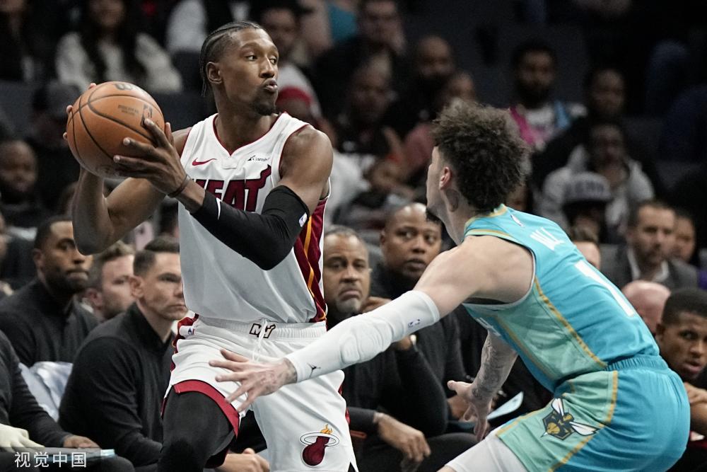 专家的建议 专家的建议